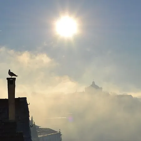 Merc Vitoria's Place Appartement