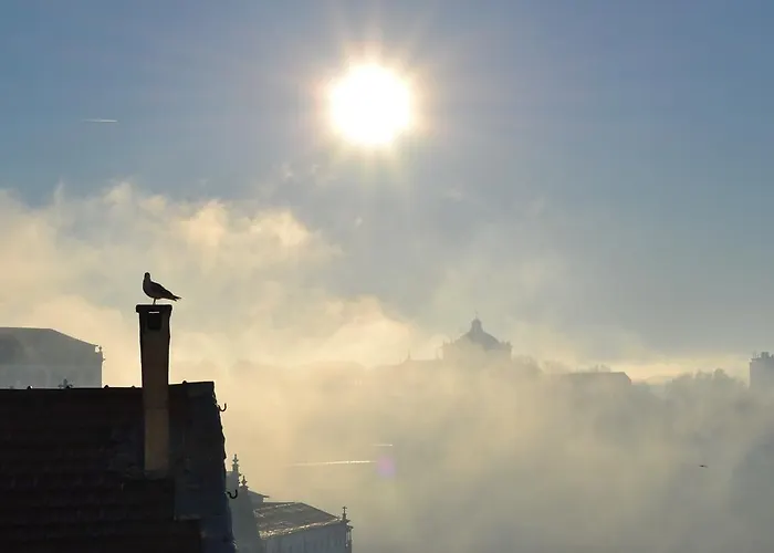 Merc Vitoria's Place شقة